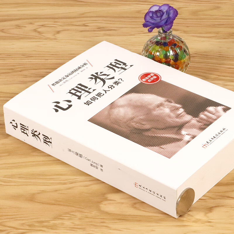 【正版】心理类型:如何把人分类?