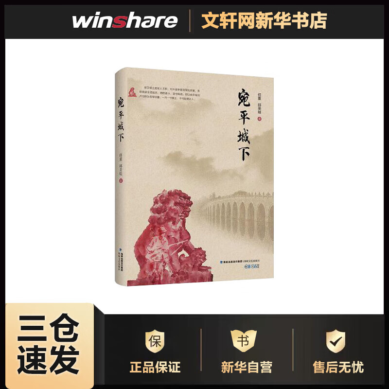 宛平城下 2019中国好书