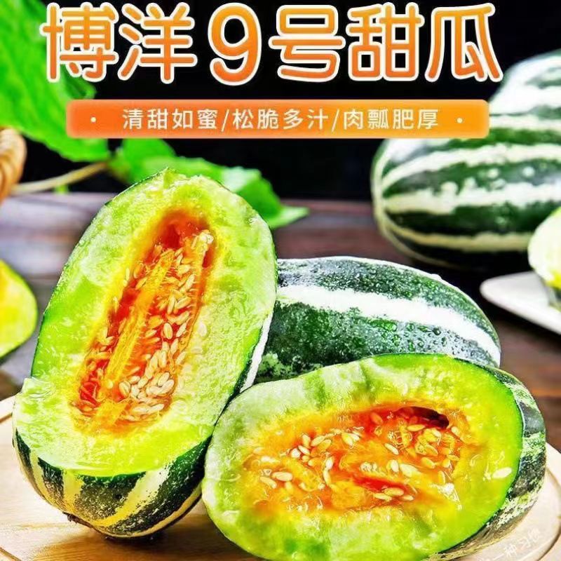 ɽ��ͷ�粩��9��������ʴ����ϱ�Ƥ����۵���ˮ���̱�С�۹� ��ʱ����-00:00:56 5��������#��ͥװ[5-8��]