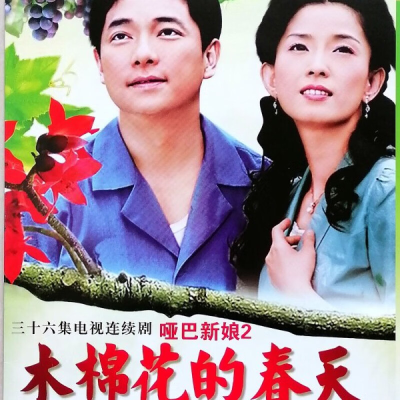erilles木棉花的春天dvd碟片光盘琼瑶苦情催泪情感电视剧谢祖武董璇