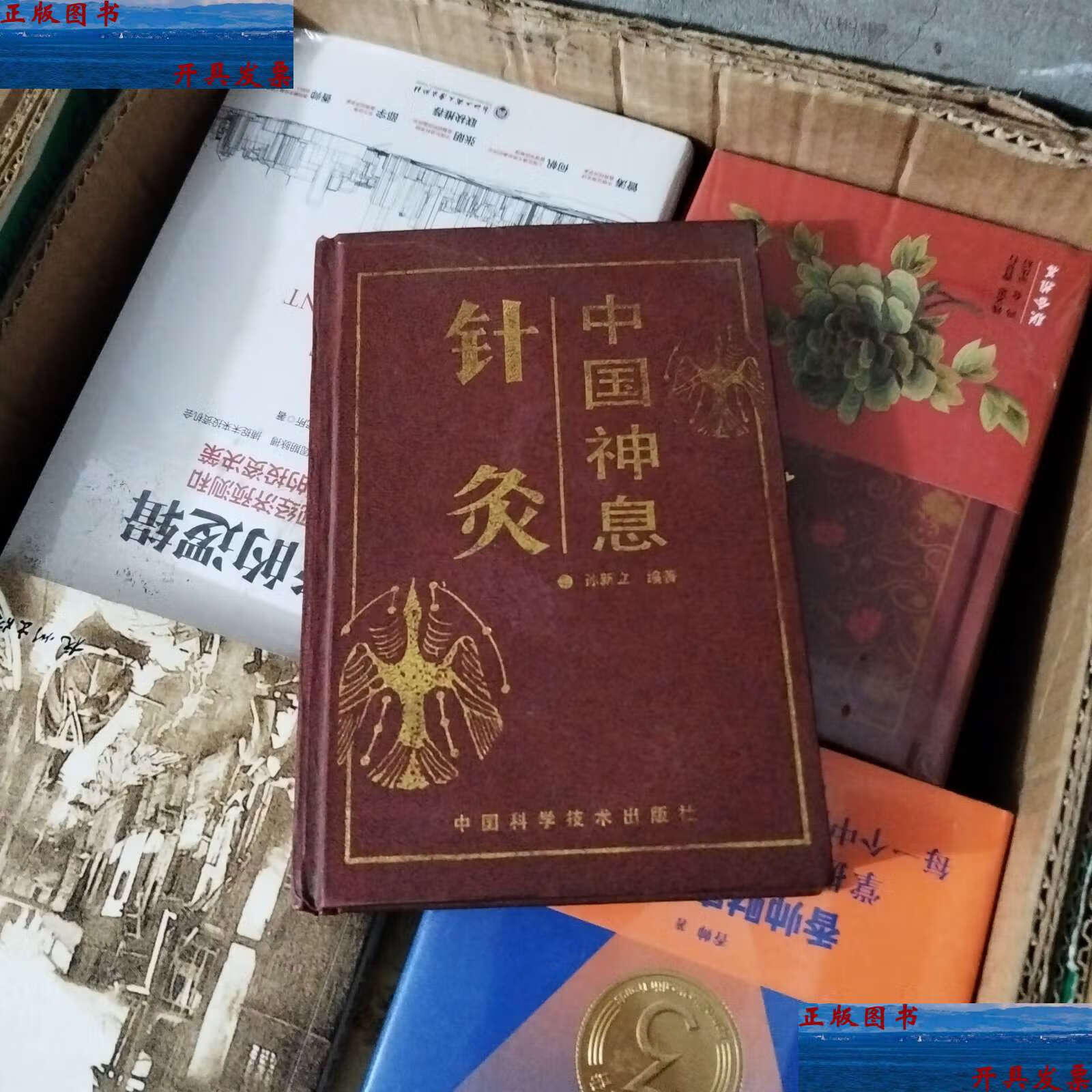 【二手9成新】中国神息针灸 /孙新立 中国科学技术