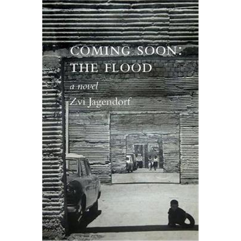 预订coming soon: the flood