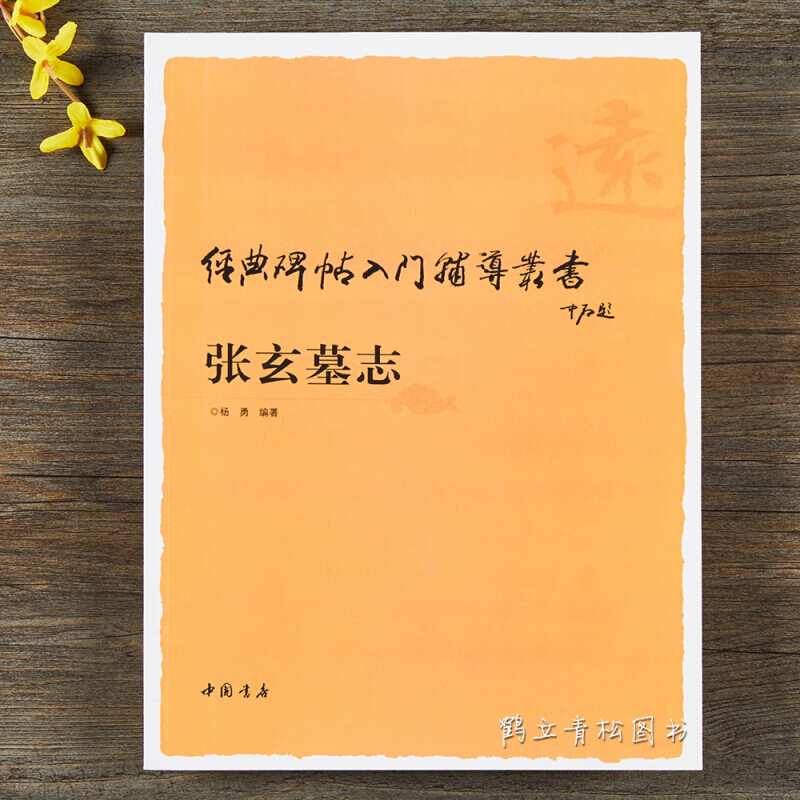 张玄墓志铭经典碑帖入门辅导丛书基础笔法偏