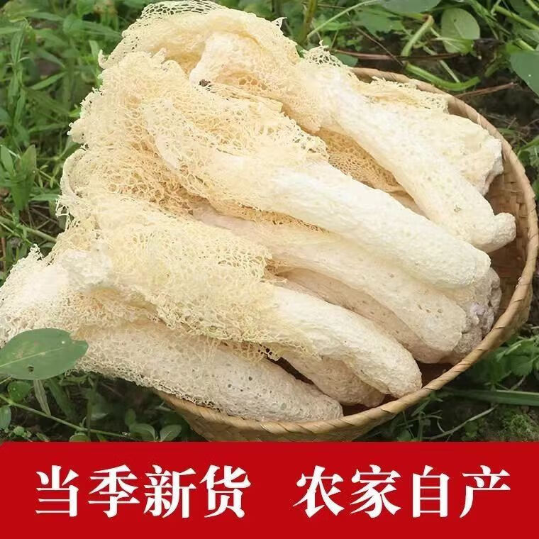 黔甲贞品竹荪干货 毛重福建古田竹笙新鲜天然无硫食用菌竹 菇蕾竹荪500 克（10包）