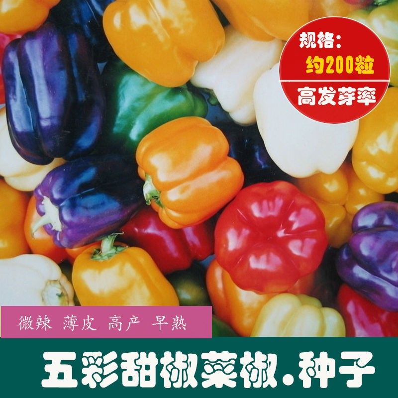 菜友五彩甜椒彩椒种子 农田菜地农户种植椒肉厚柿子椒籽春季蔬菜种子