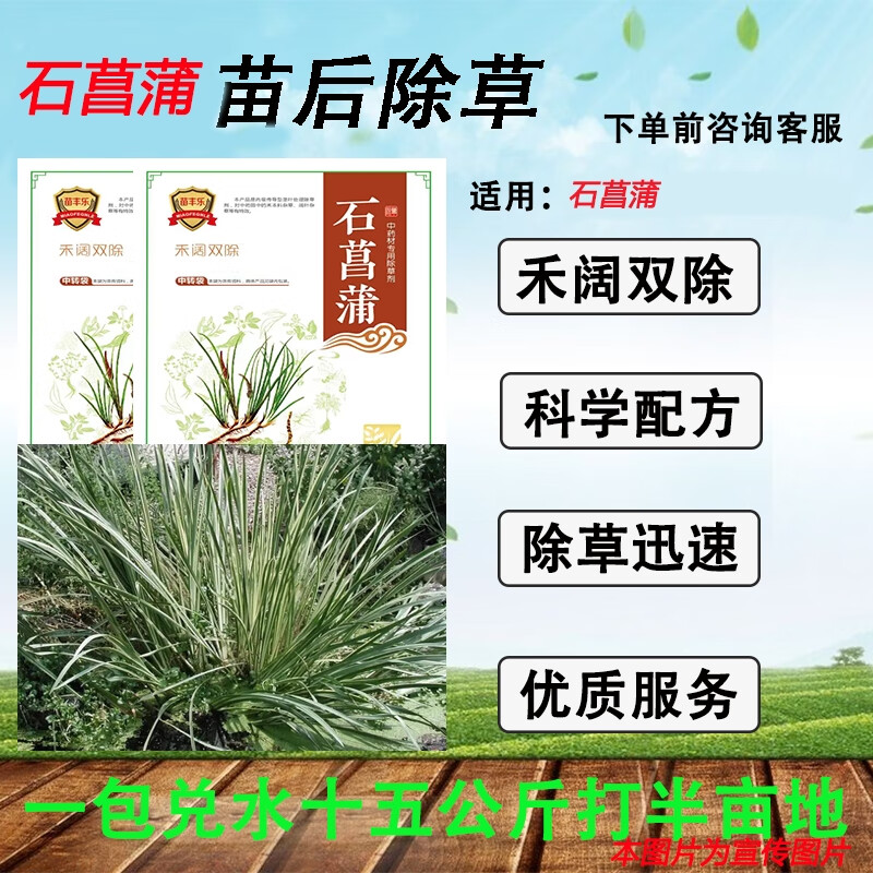 瑞邦胡麻清除草剂石菖蒲苗后专用除草剂禾阔双除成熟配方厂家直销量大
