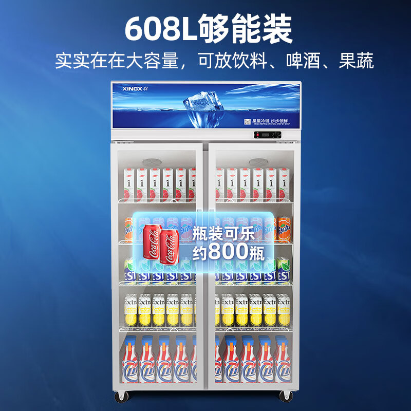 立式冰柜排名前十名品牌，这10款大容量低噪节能商用家用必选-图片4