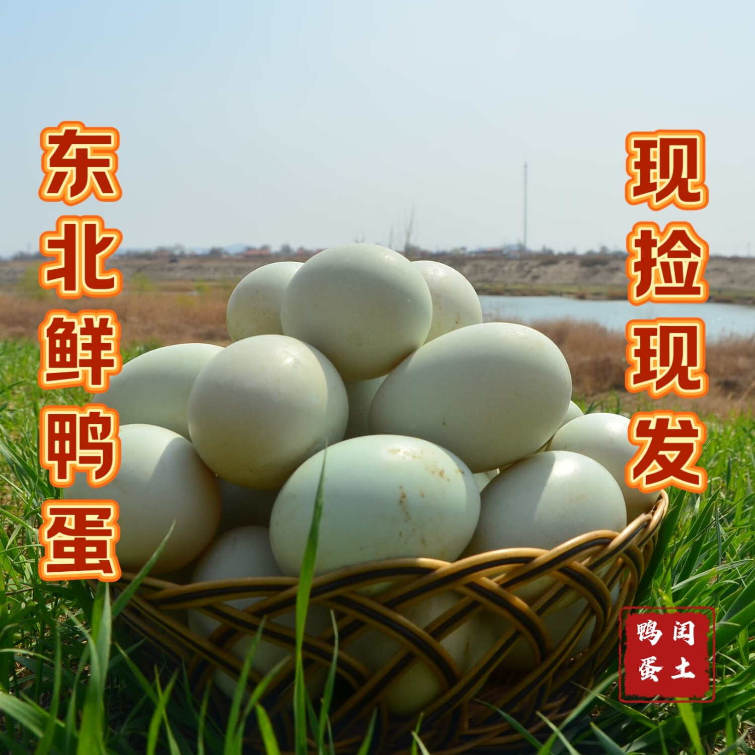 澄州呈礼正宗东北鲜鸭蛋农家散养土鸭蛋青壳鸭蛋新鲜鸭蛋现捡现发破损