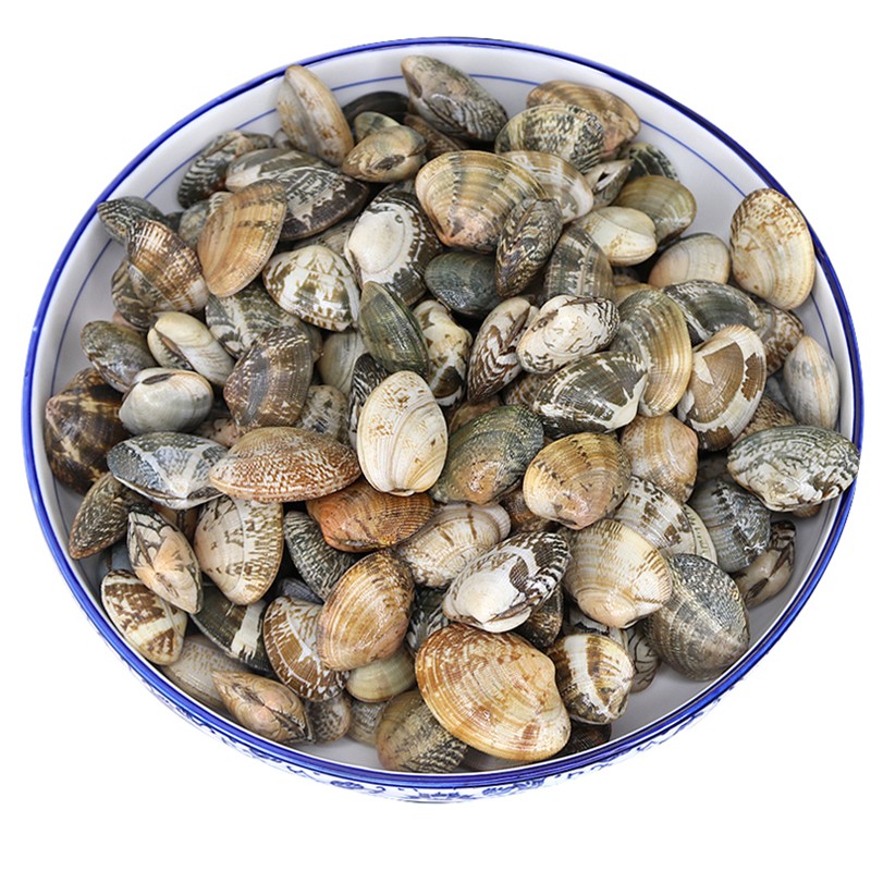 【活鲜】三蟹岛 花蛤 鲜活 1000g/份 花甲 蛤蜊 蚬子 花蛤 花甲 烧烤