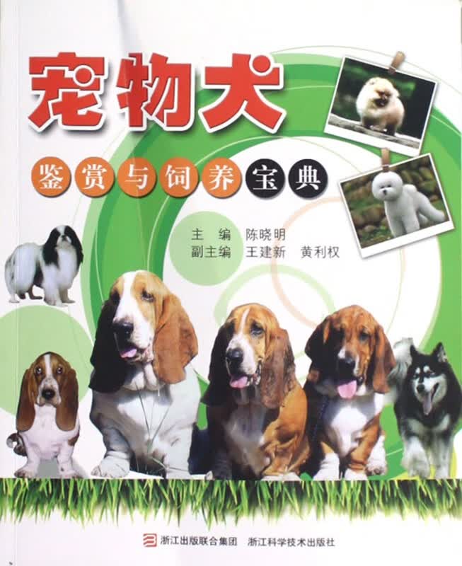 宠物犬鉴赏与饲养宝典