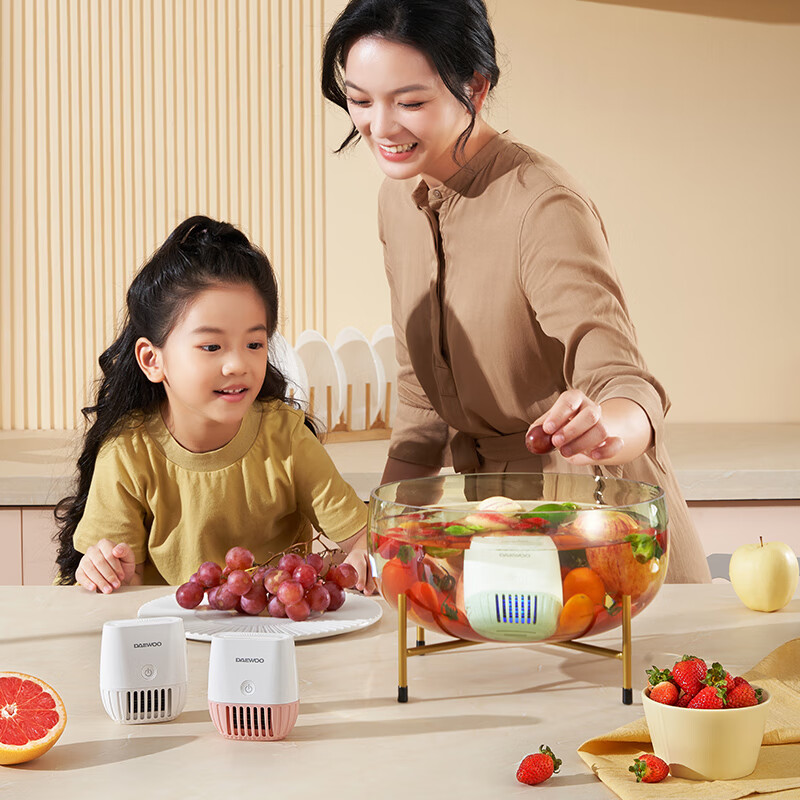 大宇果蔬清洗机果蔬清洗器无线洗菜机去农残蔬菜清洗机多功能果蔬净化器食材净化机果蔬净化清洗机QX10 米白色QX10