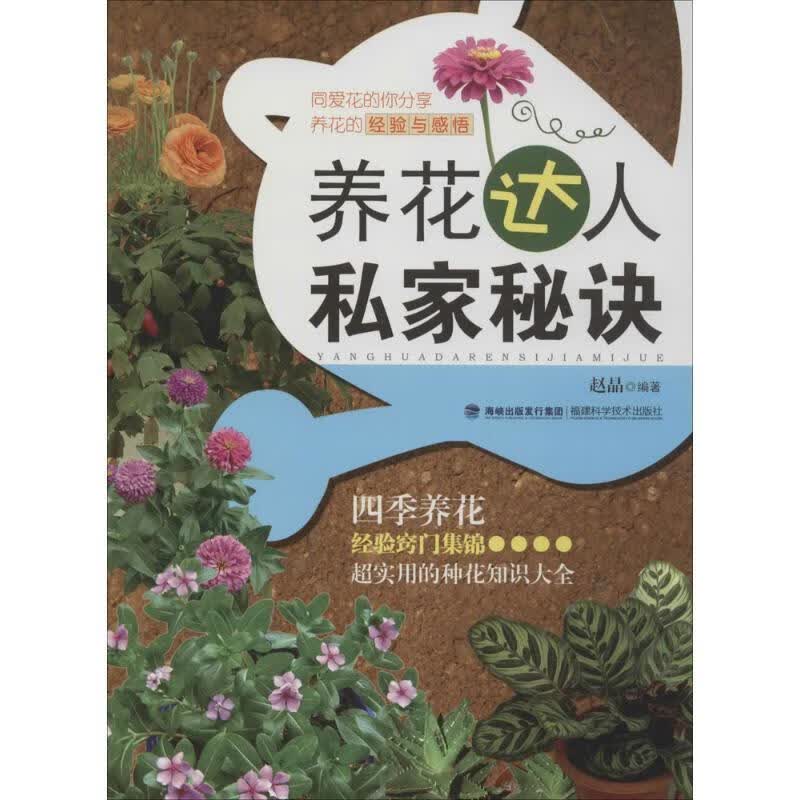 养花达人私家秘诀 赵晶【正版】