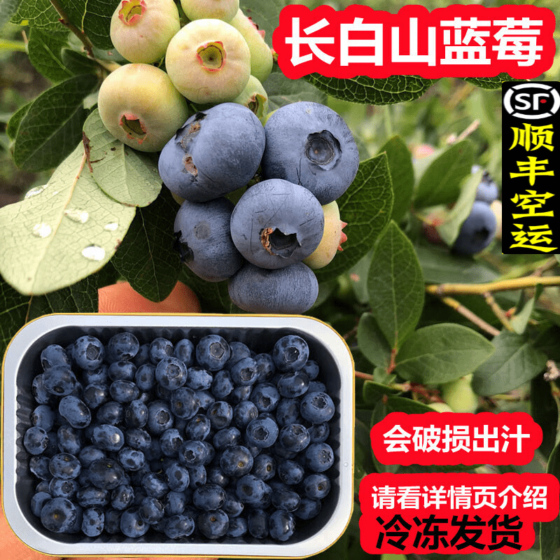 水果蔬菜东北蓝莓果长白山新鲜冷冻都柿香甜多汁蓝莓适合做果酱果汁