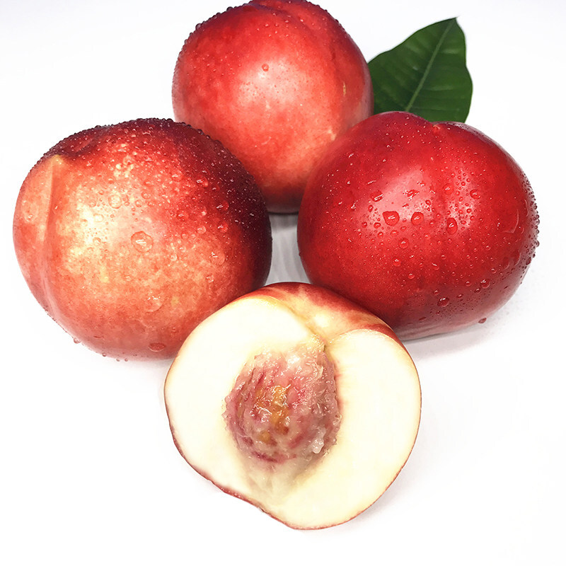智利油桃 桃驳李 当季水果 脆甜桃子 精选大果一级果 孕妇水果 送人