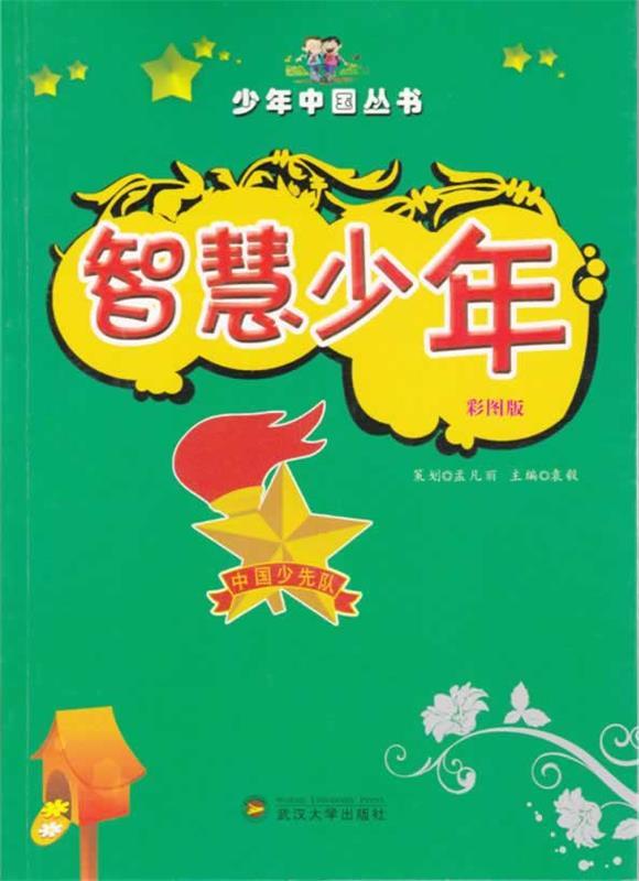 智慧少年9787307104464武汉大学出版社