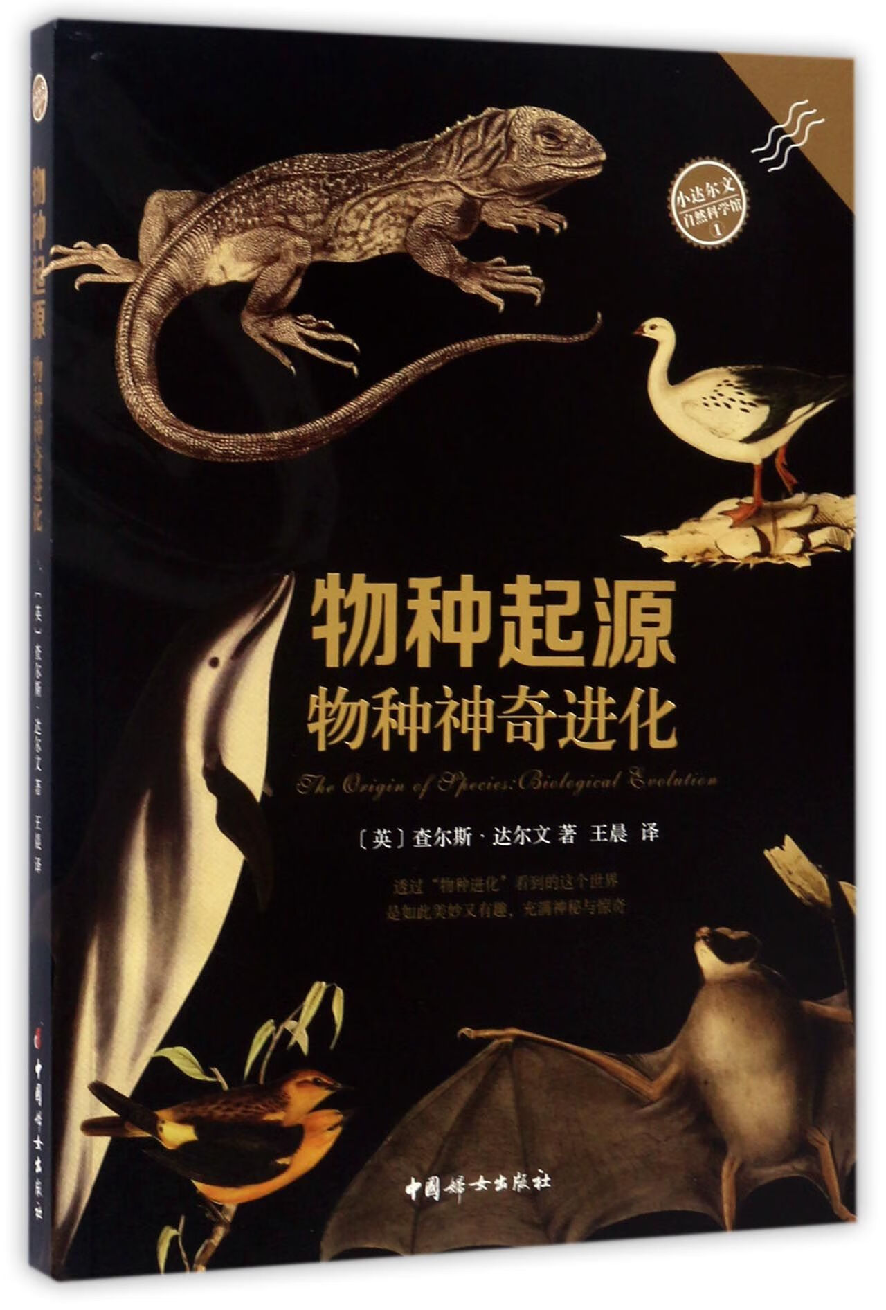 物种起源(物种进化)/小达尔文自然科学馆(英)查尔斯·达尔文  |译者