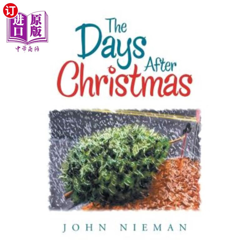 海外直订the days after christmas 圣诞节后的日子