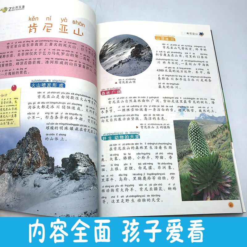我的第一套百科全书：自然现象（16开四色平装 彩图注音版）详情图