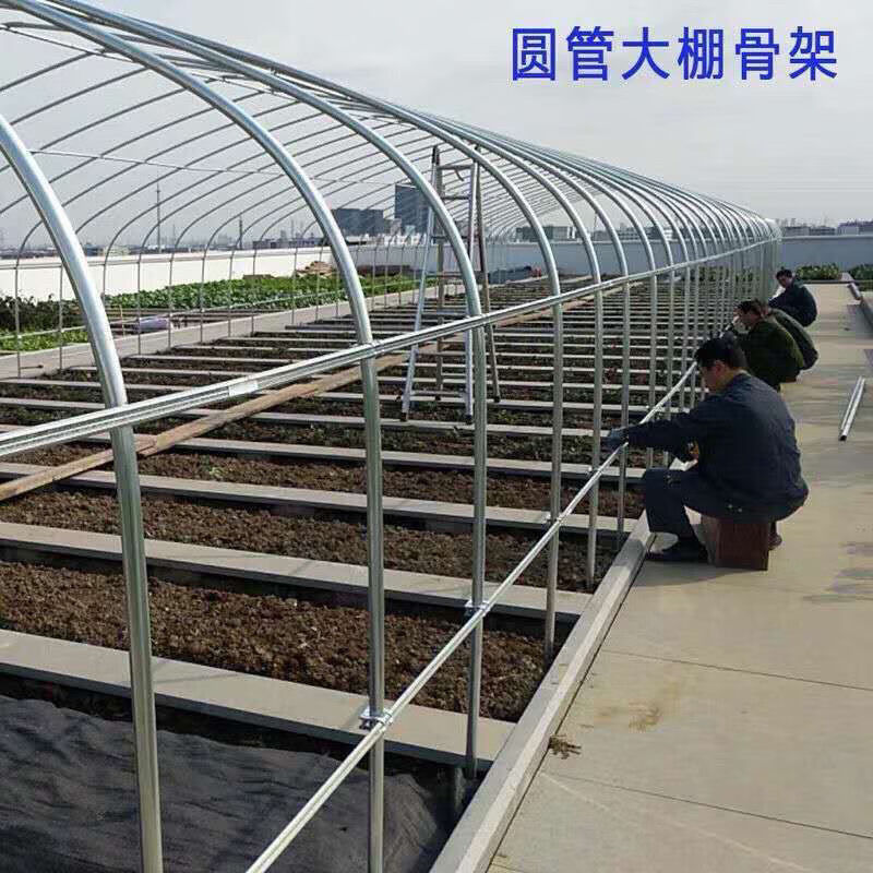 养羊大棚种植养殖大棚养猪养牛养鸡椭圆管温室大棚骨架蔬菜半坡棚钢架