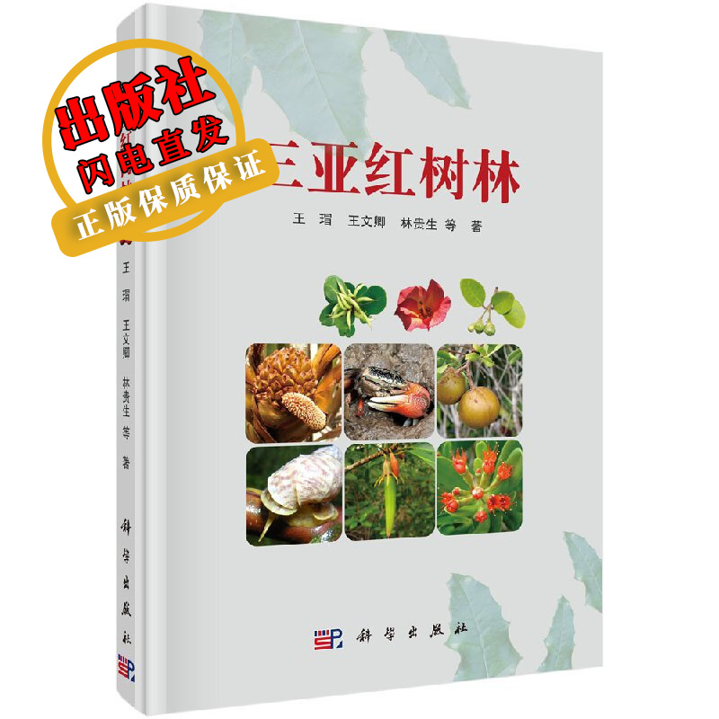三亚红树林 三亚红树林