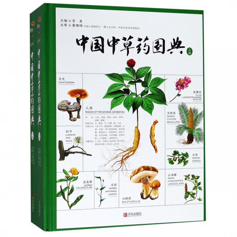 中国中草药图典(上下)(精)