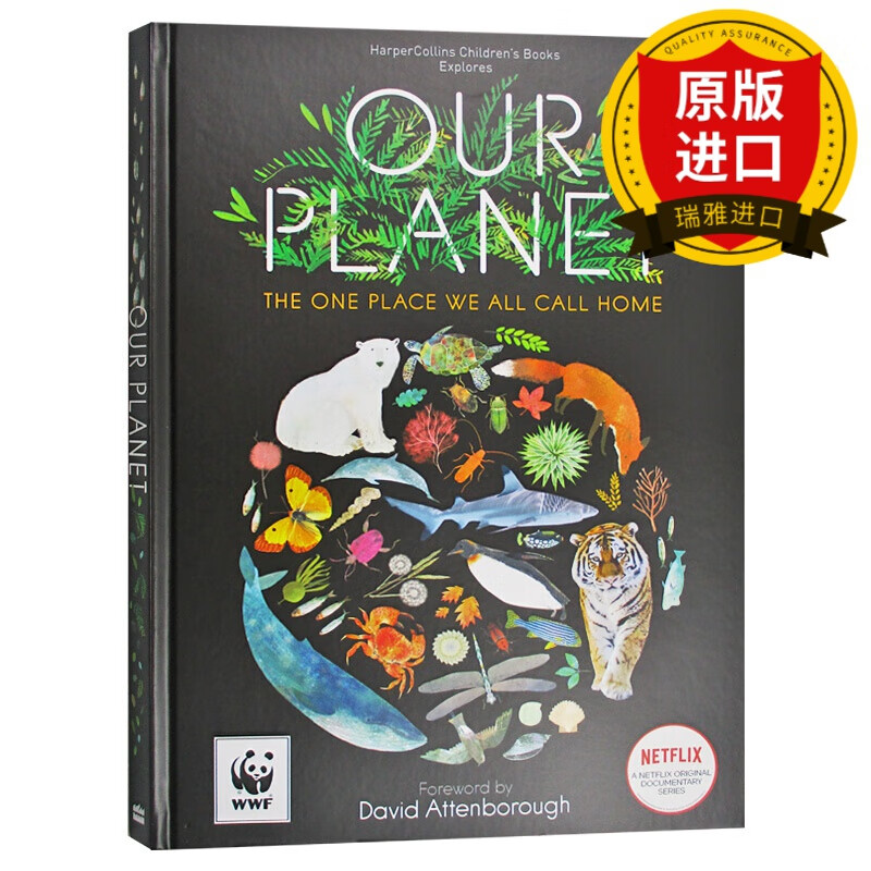 our planet我们的星球-儿童版 瑞雅进口原版