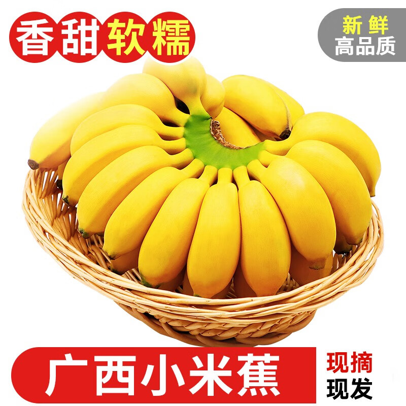 探味君 广西香蕉 小米蕉现发 新鲜水果带箱 5斤