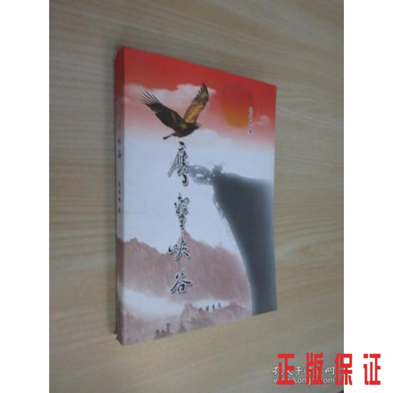 保证正版 可开发票！！鹰击峡谷