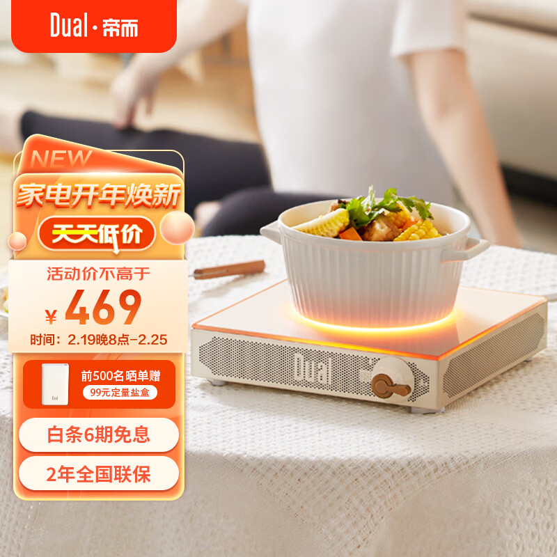 帝而（Dual） 电陶炉 电磁炉 煮茶器 家用低辐射炒菜炉火锅炉 迷你大功率不挑锅具煮茶炉 【不挑锅具电陶炉】复古白