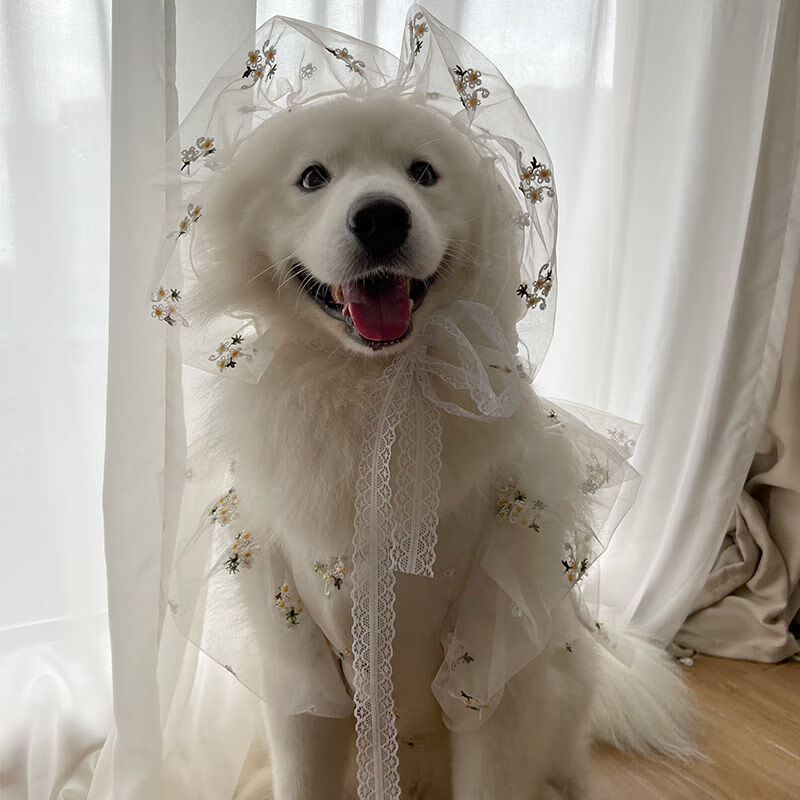 dadagou耶耶的美丽日记 狗狗婚礼衣服中大型犬婚纱可爱衣服金毛 xs