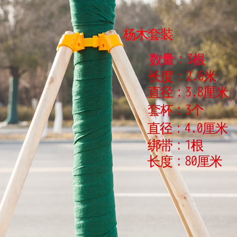 树木支撑固器支撑架杆杉木松木杨木棍园林绿化防风工程稳支架 杨木2.