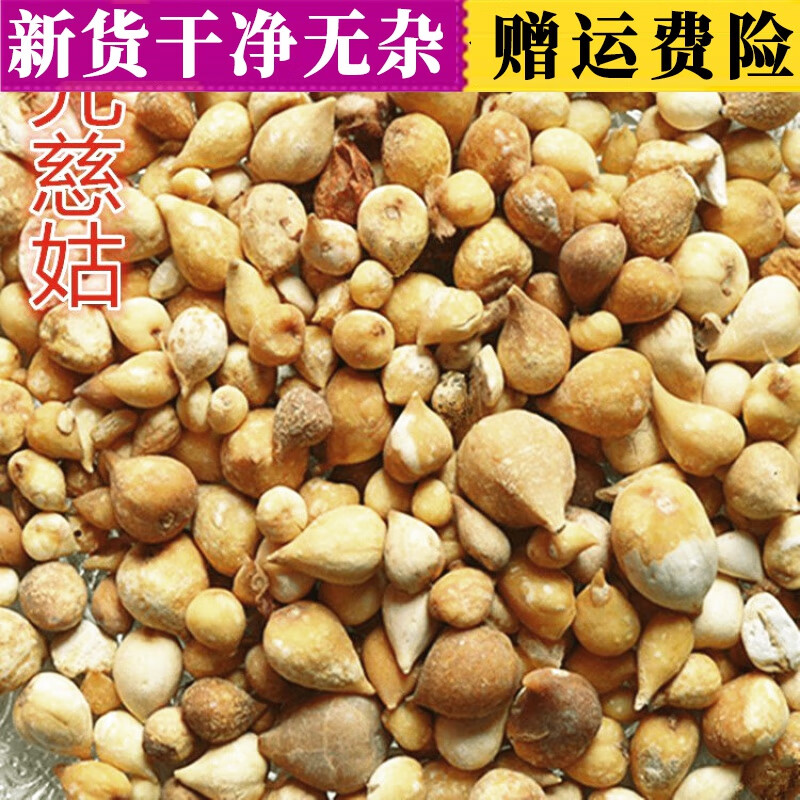康中尊 精选光慈姑 白慈姑 光慈菇 白茨菇 250克 店有山慈菇