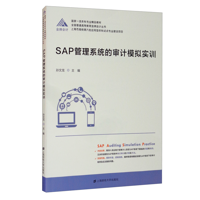 SAP管理系统的审计模拟实训