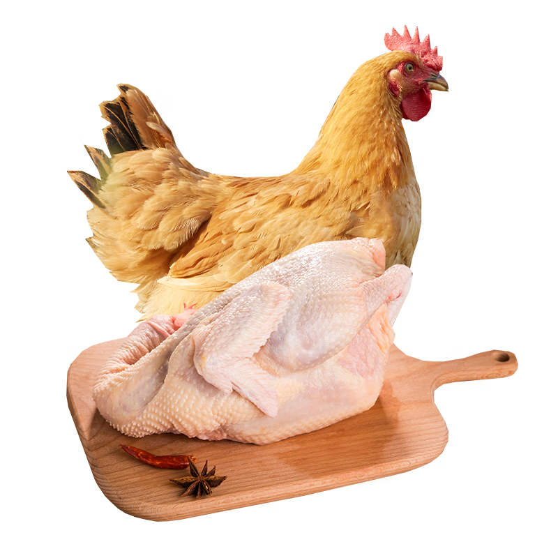 心厨优品(xinchuyoupin)温氏三黄鸡农家散养土鸡 慢养走地鸡正宗红烧