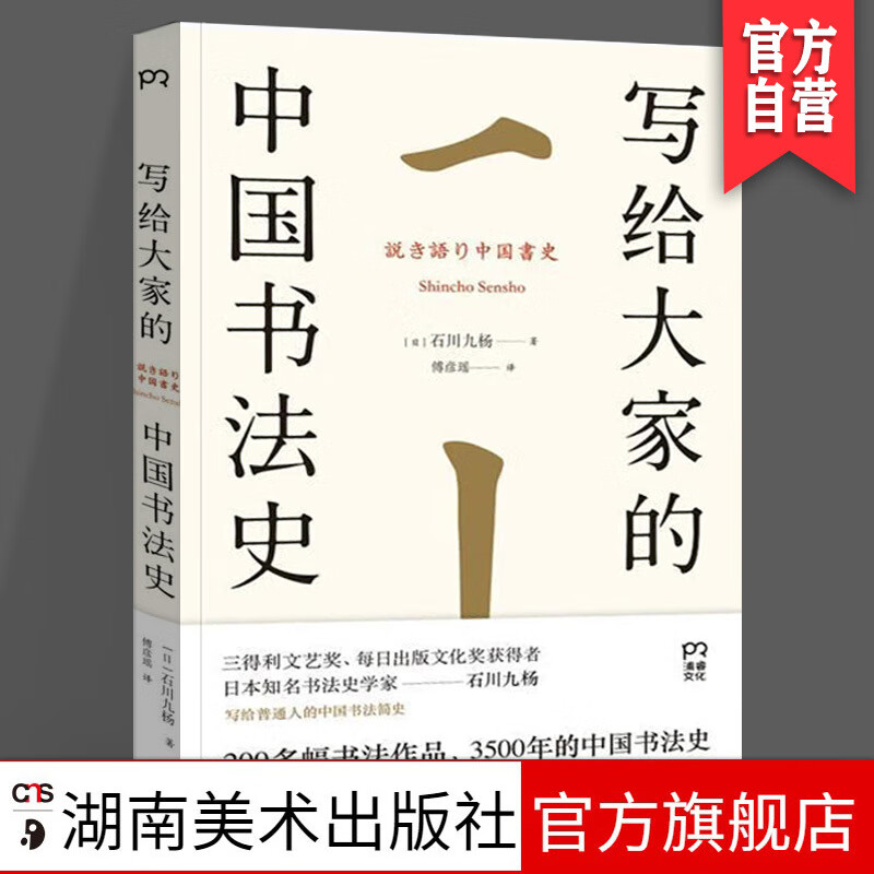 写给大家的中国书法史书法篆刻走进书法艺术的美学欣赏汉字文化之美湖南美术出版社官方pr 社官方pr