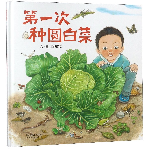 第*次种圆白菜(精)