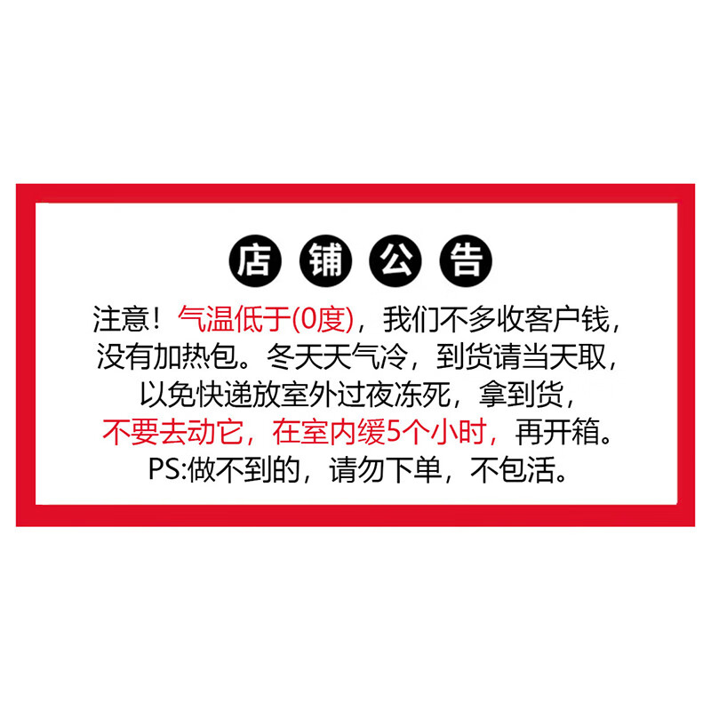 荣郁杜比亚蟑螂成体昆虫活虫龙鱼专用饲料一斤 零下5度不包活