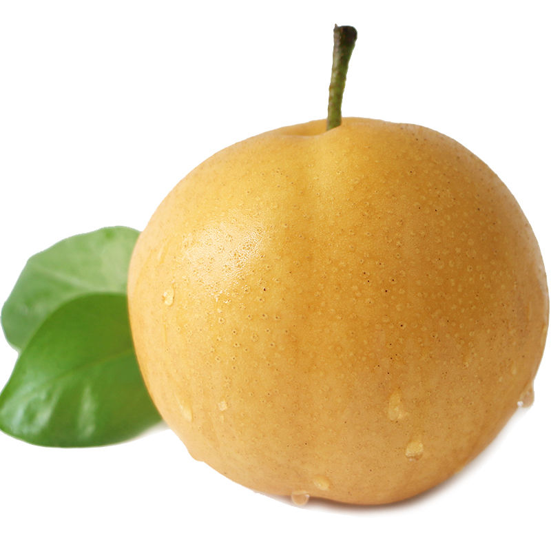 【精选】山东莱阳冰糖丰水梨子现摘新鲜水果当季雪梨 二斤大果试吃装