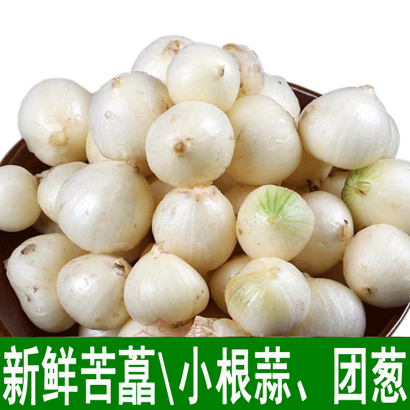 四川团葱新鲜苦藠 小根葱野葱头苦茭小洋葱小蒜藠头 5斤装