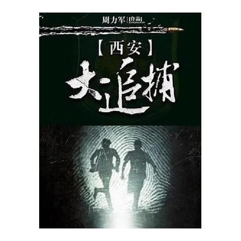 溥畔刑侦纪实电视剧 西安大追捕 dvd碟片 王双宝 海浪 盒装珍藏版