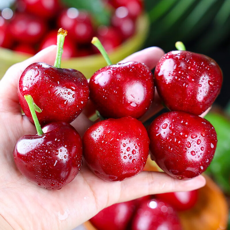 璋玖牯山东樱桃(顺丰空运)新鲜美早现摘当季水果大果国产烟台车厘子