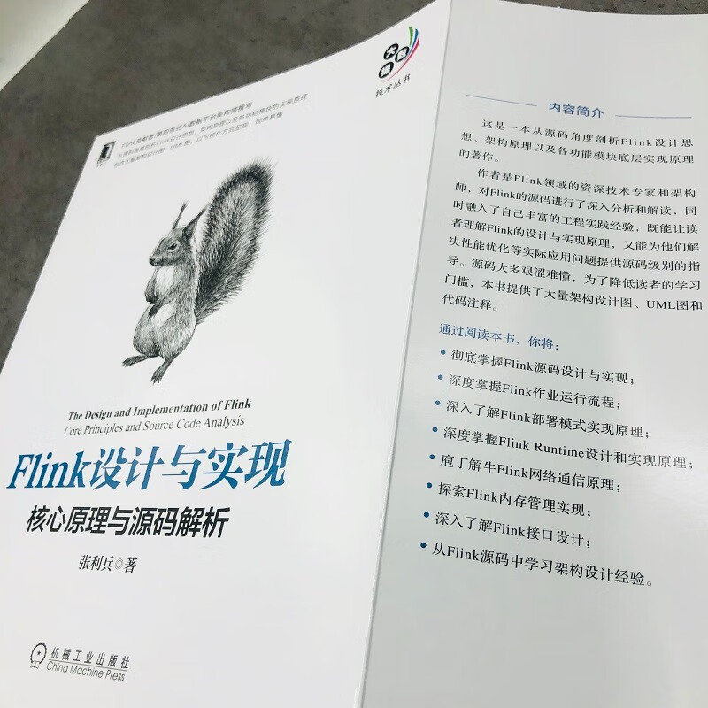 Flink设计与实现:核心原理与源码解析详情图