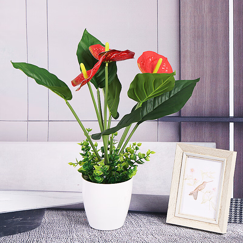家饰 红掌仿真植物白掌假花仿真花绿植 2号瓶白色 短款3头手感红掌