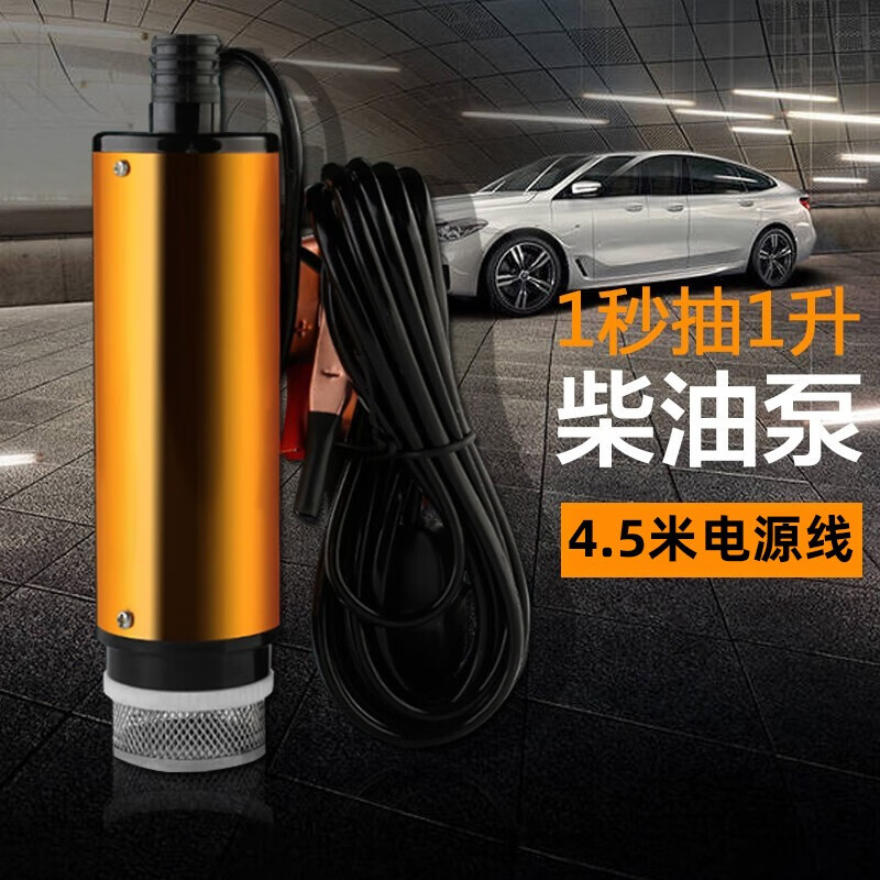 蔻均缕抽油泵柴油抽水泵抽油器12v电动小型自吸泵12伏加油枪抽油机