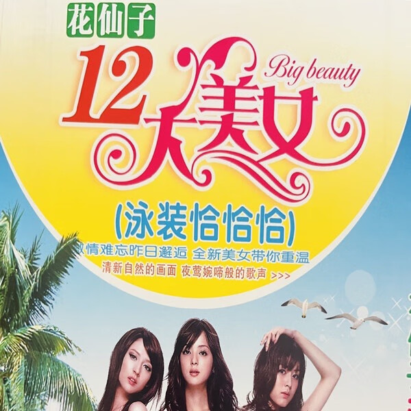 然臣国语经典歌曲dvd碟片十二大美女mv音乐光碟80首