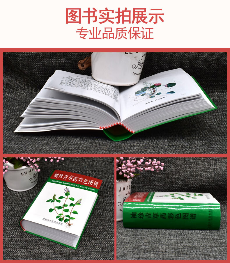 快速辨认青草药福建科技中医图谱学习常用青草药图谱大全青草药宝典