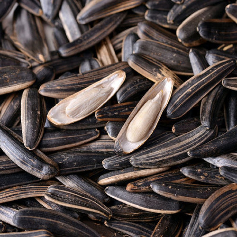 牙签瓜子五香原味瓜子零食香瓜子散装瓜子葵瓜子炒货 原味黑 小罐装*1