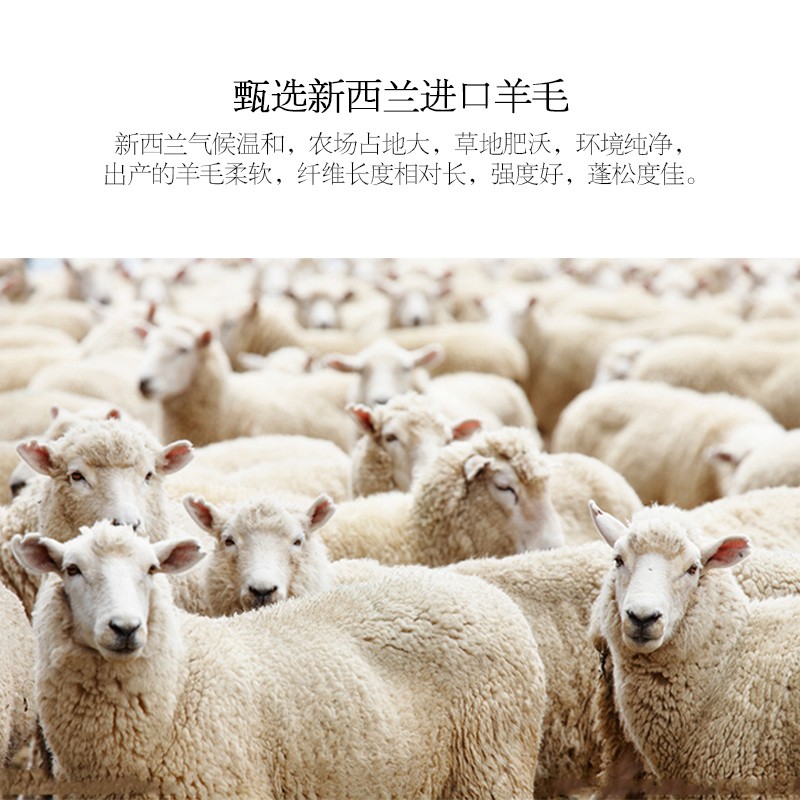 羊毛-驼毛被恒源祥新西兰进口羊毛被这样选不盲目,评测哪款质量更好？