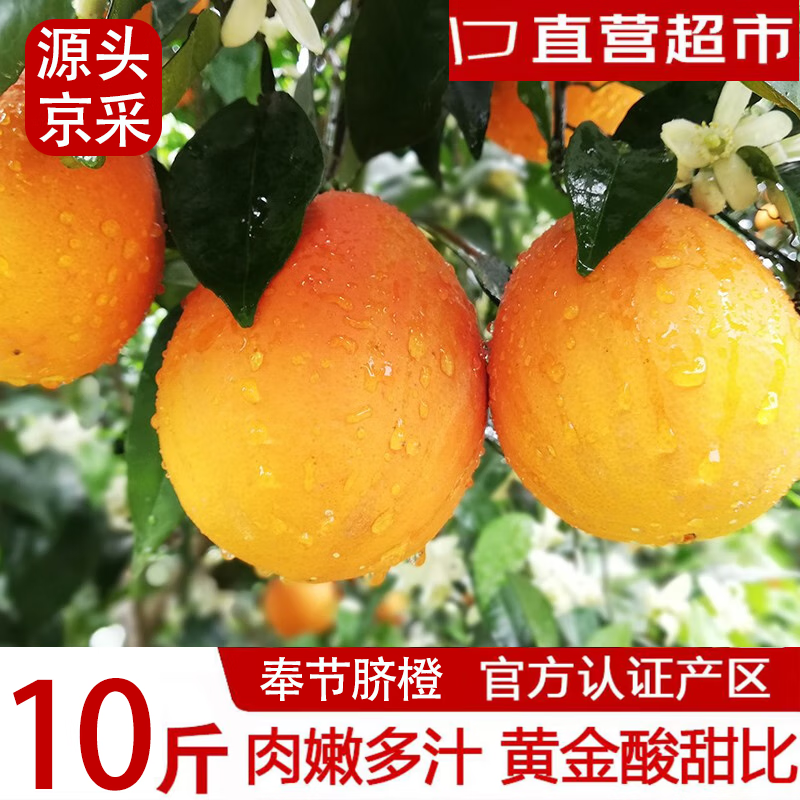 逮果奉节脐橙橙子新鲜现摘水果甜橙整箱 10斤装 单果230g+ 净重9.3斤