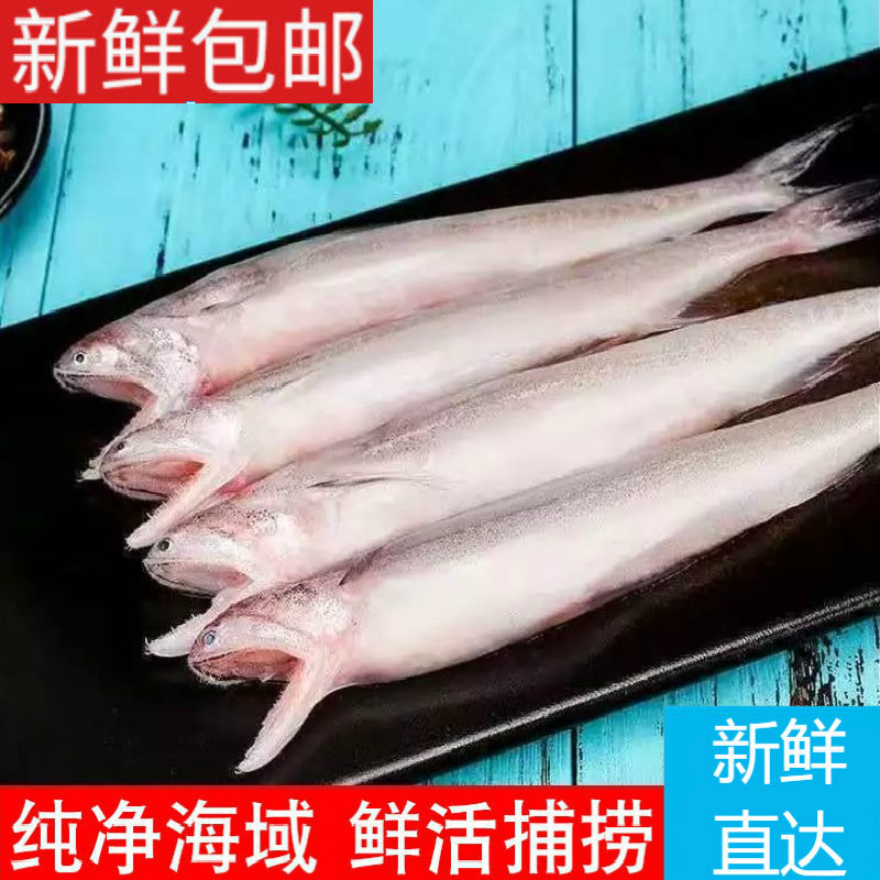 龙头鱼鲜活速冻豆腐鱼当季豆腐鱼 新鲜海捕龙鱼冷冻丝丁鱼九肚鱼 3斤装